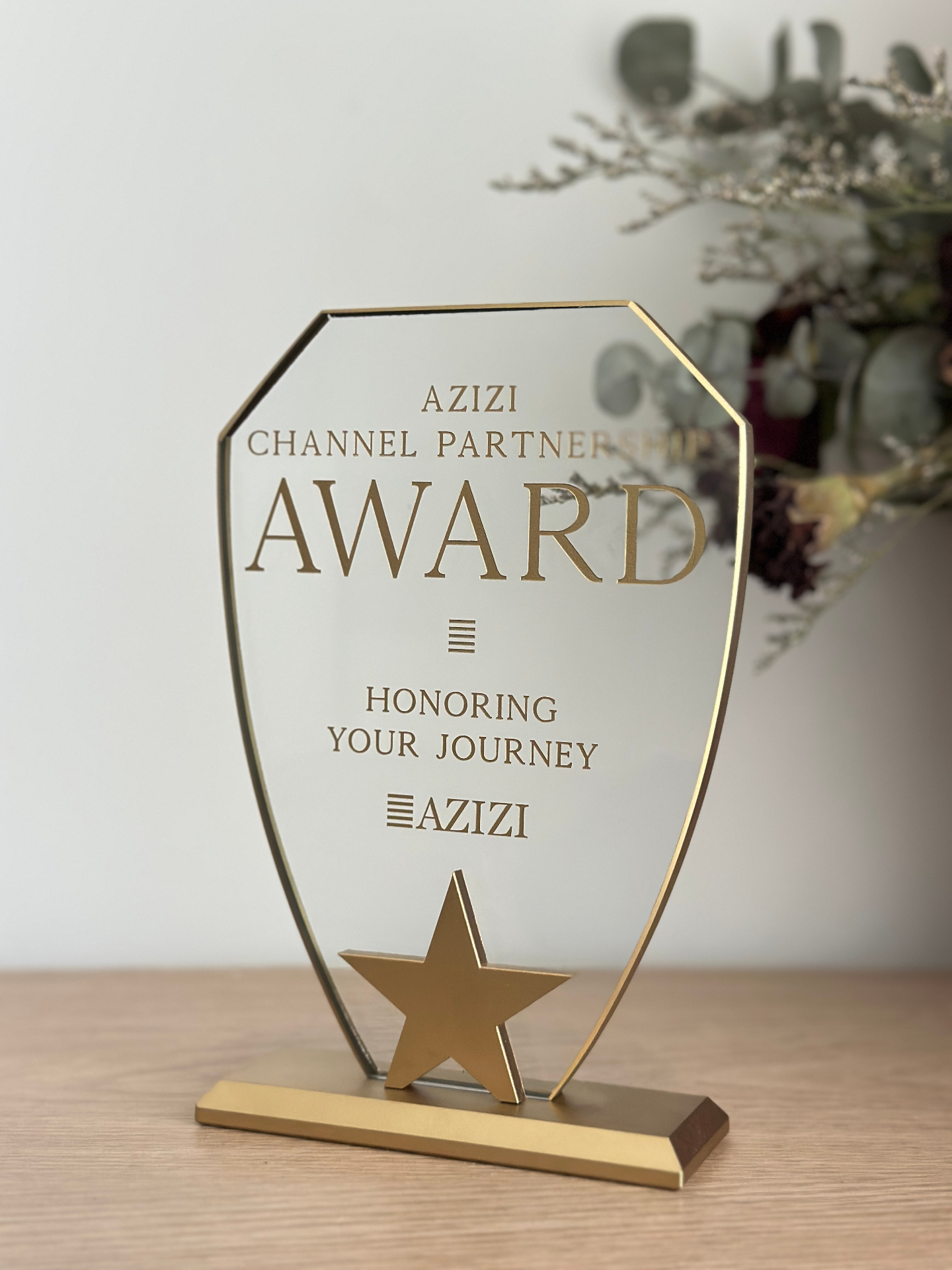 Azizi Channel Partnership Award